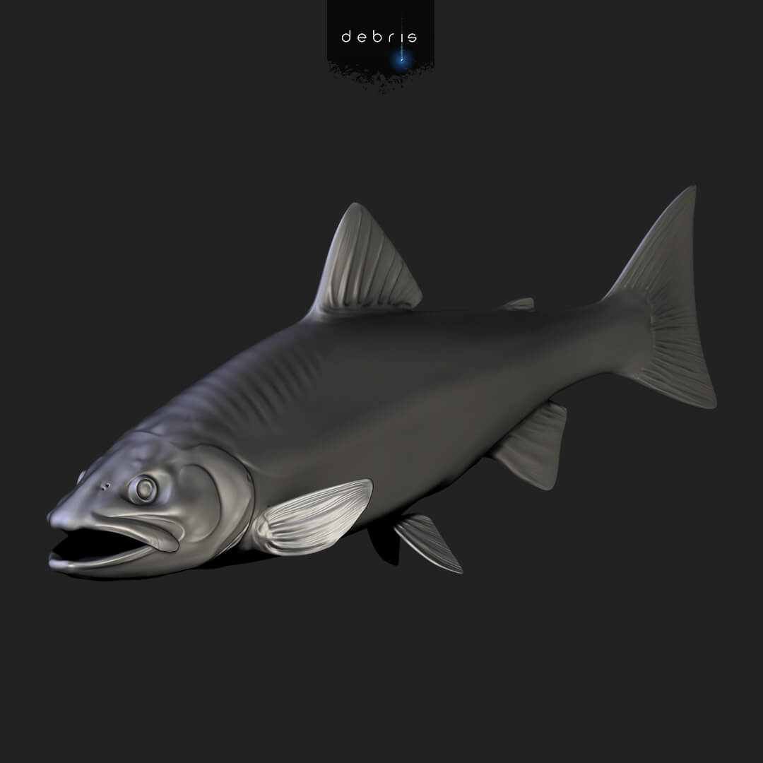 ZBrush fish 